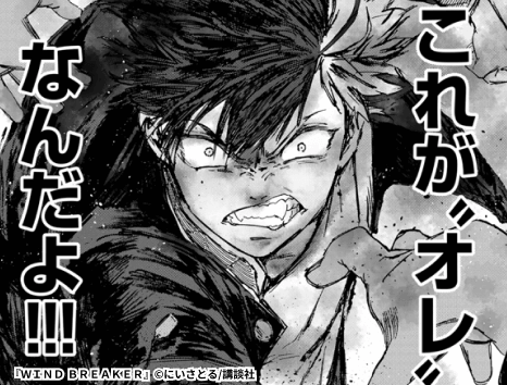 ＷＩＮＤ　ＢＲＥＡＫＥＲ