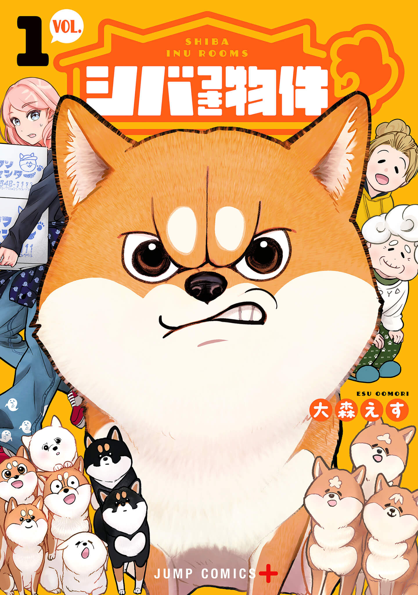 シバつき物件