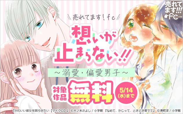 想いが止まらない！！～溺愛・偏愛男子～特集