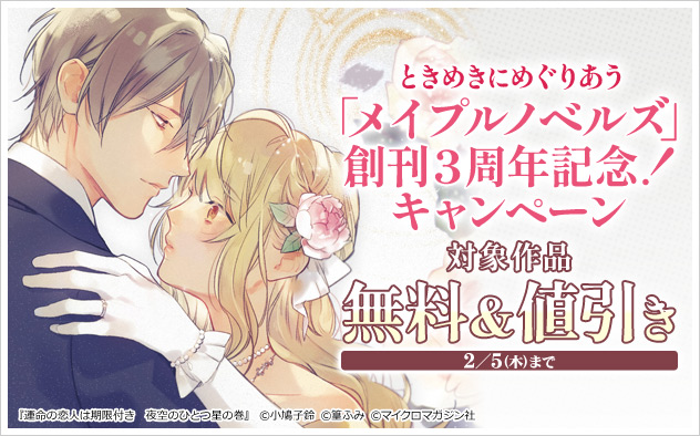 「メイプルノベルズ」創刊3周年記念！キャンペーン