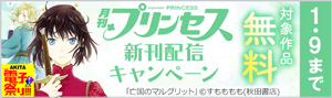 【AKITA電子祭り　冬の陣】「プリンセス」新刊配信キャンペーン
