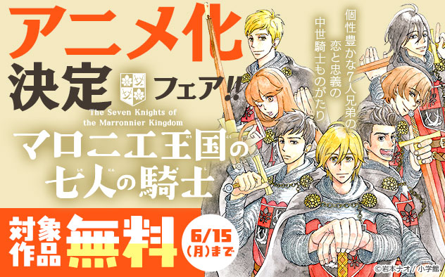 『マロニエ王国の七人の騎士』アニメ化決定フェア！！