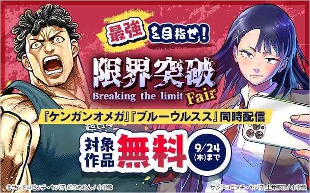 最強を目指せ！限界突破フェア