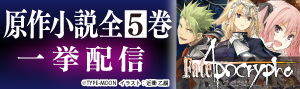 Fate/Apocrypha 小説版全5巻 一挙配信！