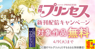 【AKITA電子祭り 冬の陣】プリンセス　続話追加キャンペーン