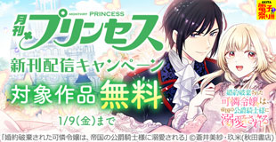 【AKITA電子祭り　冬の陣】プリンセス　続話追加キャンペーン