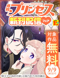 【AKITA電子祭り 夏の陣】プリンセス　続話追加キャンペーン
