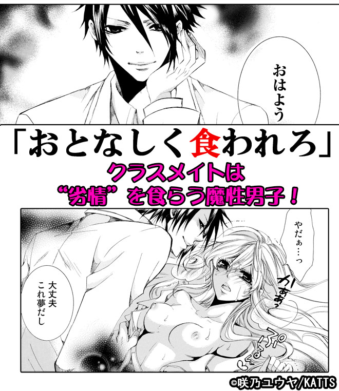 劣情∞インキュバス～眠れる処女とSな色魔～