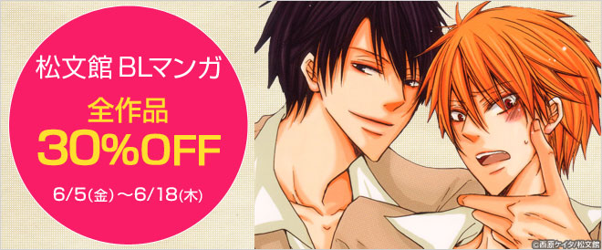 松文館全作品半額看板