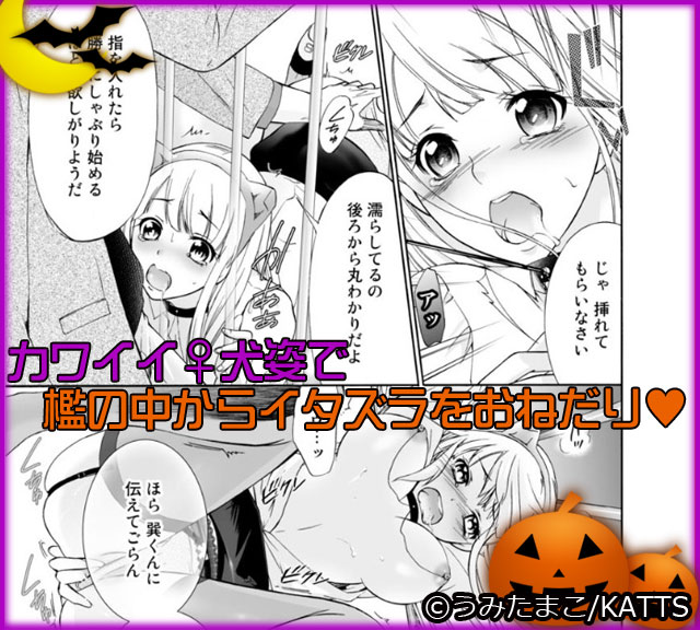 緊急出演！！ 公衆わんこの白濁ショータイム