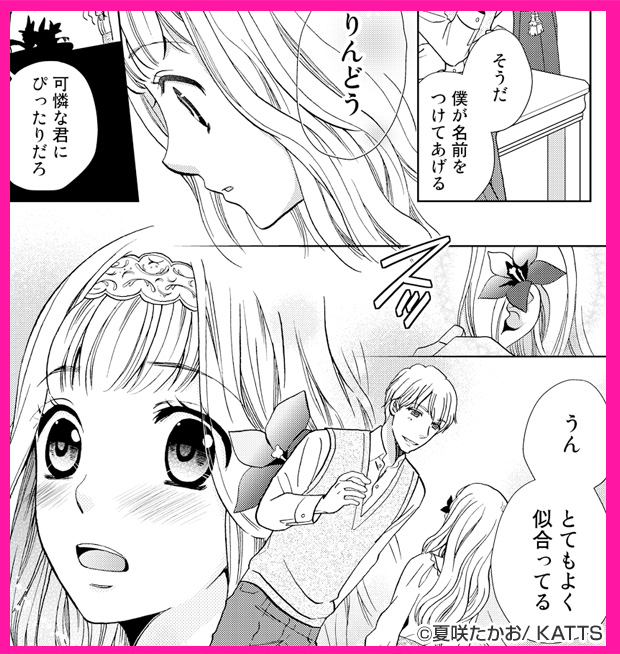 悪ノ花―家なき娘と蜜の檻―