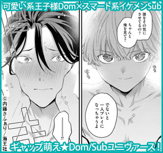 エリートSubは王子様に躾けられたい