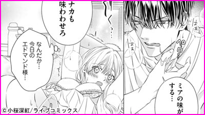 憧れの王子は、エッチな腹黒魔術師でした～閨指導係なのに、彼のミダラな魔法にかないません！～