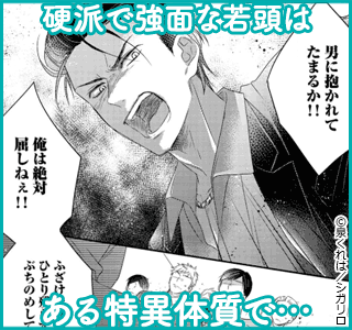 【特装版】孕ませ妊侠道【電子限定おまけ付き】