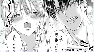 憧れの王子は、エッチな腹黒魔術師でした～閨指導係なのに、彼のミダラな魔法にかないません！～