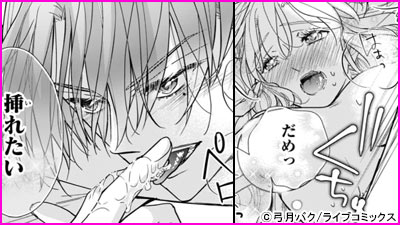 身代わりなのに、執愛ヤンデレ王子の束縛から逃げられません