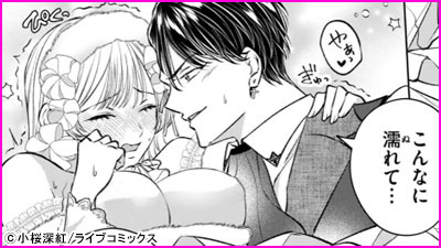 憧れの王子は、エッチな腹黒魔術師でした～閨指導係なのに、彼のミダラな魔法にかないません！～