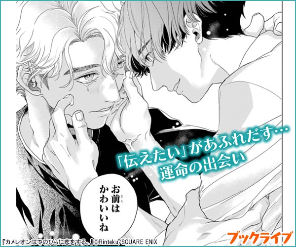 カメレオンはてのひらに恋をする。