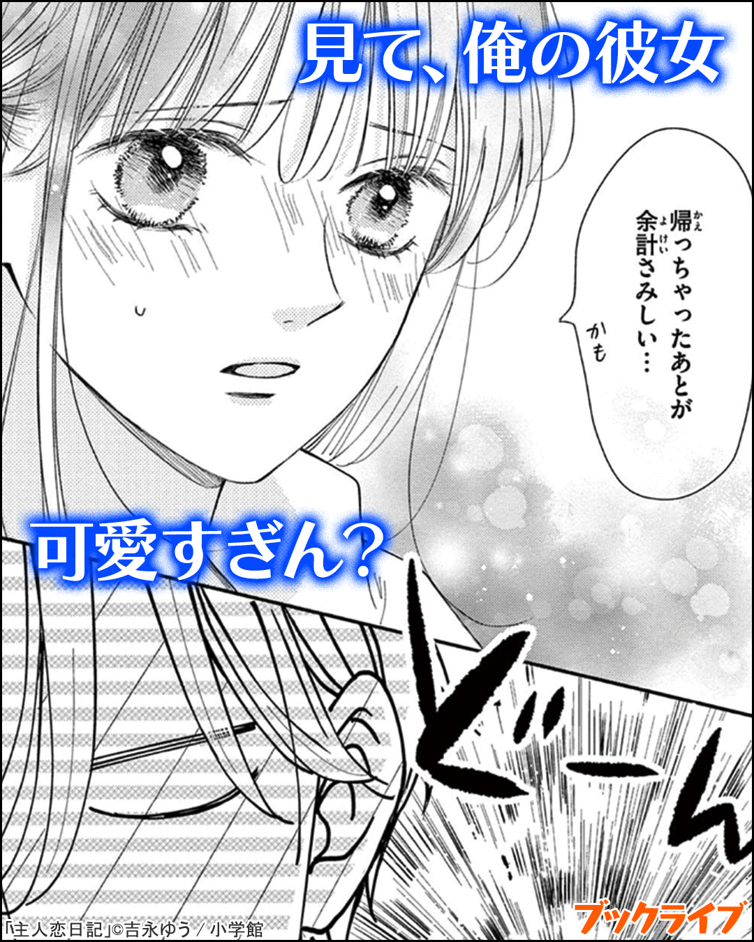 主人恋日記【マイクロ】