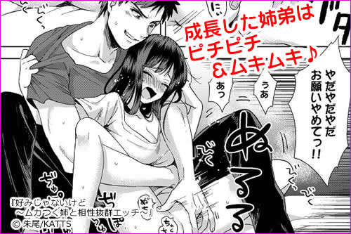好みじゃないけど～ムカつく姉と相性抜群エッチ～