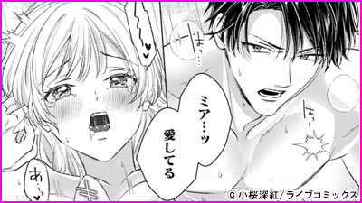 憧れの王子は、エッチな腹黒魔術師でした～閨指導係なのに、彼のミダラな魔法にかないません！～