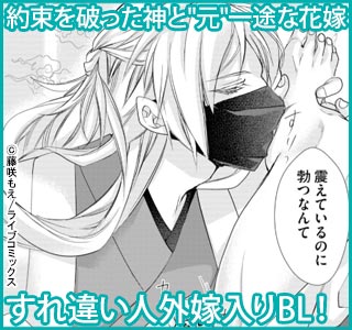 チシュ王の婚姻～花嫁に交わる王の糸～