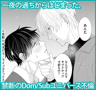 先生、離婚してください－Dom/Sub不倫－