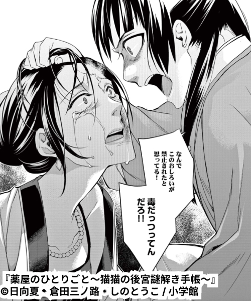 薬屋のひとりごと～猫猫の後宮謎解き手帳～